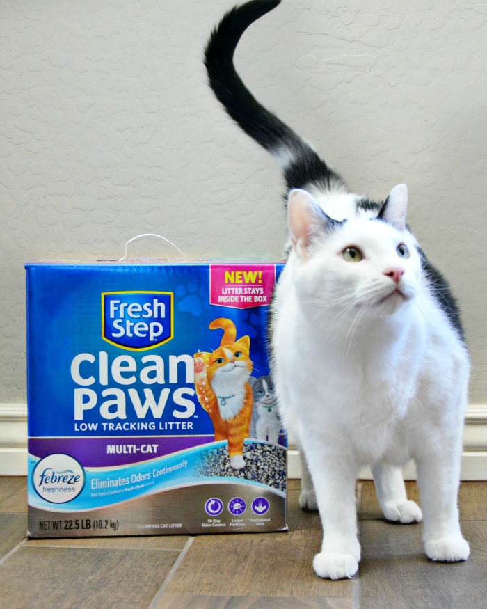 Our Toby cat posed exactly like the Fresh Step® Clean Paws™ cat!