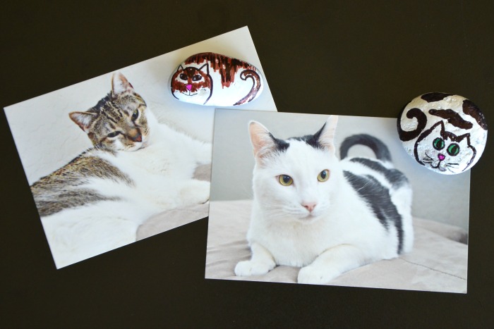 These fun cat rock magnets are a great family craft!