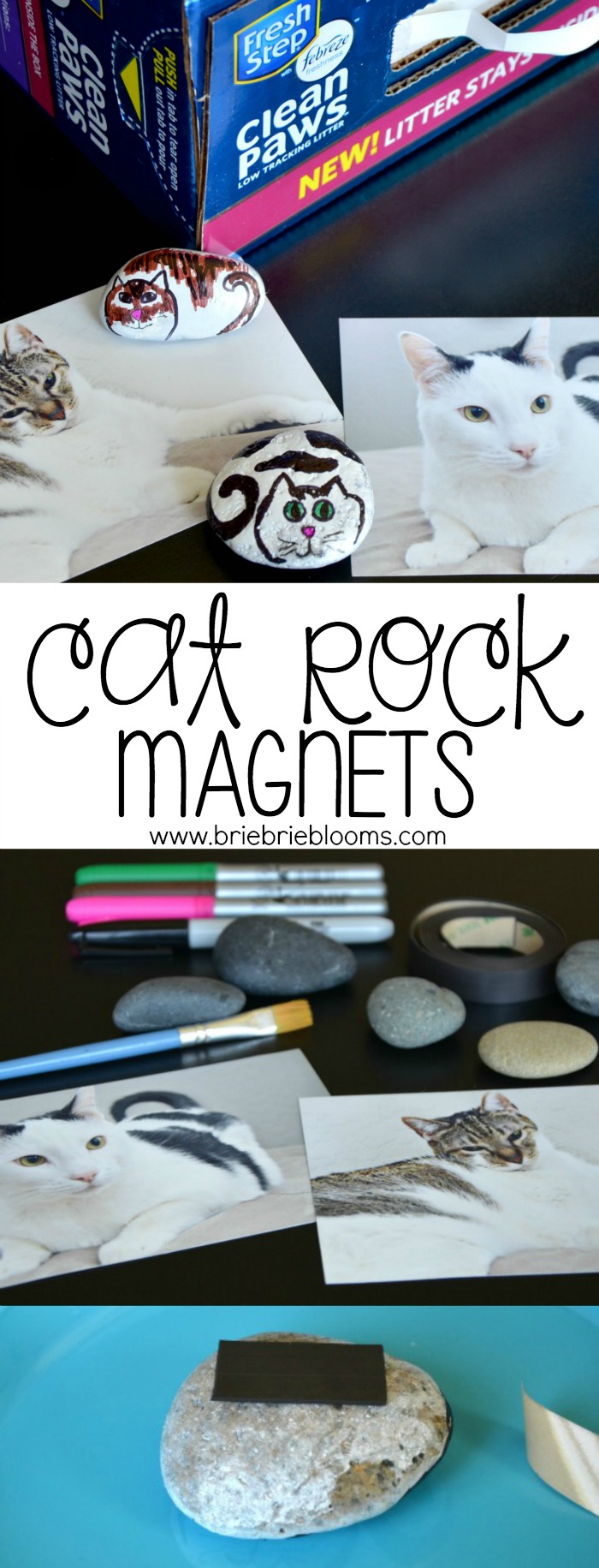 Make these fun cat rock magnets featuring your own pets' characteristics.