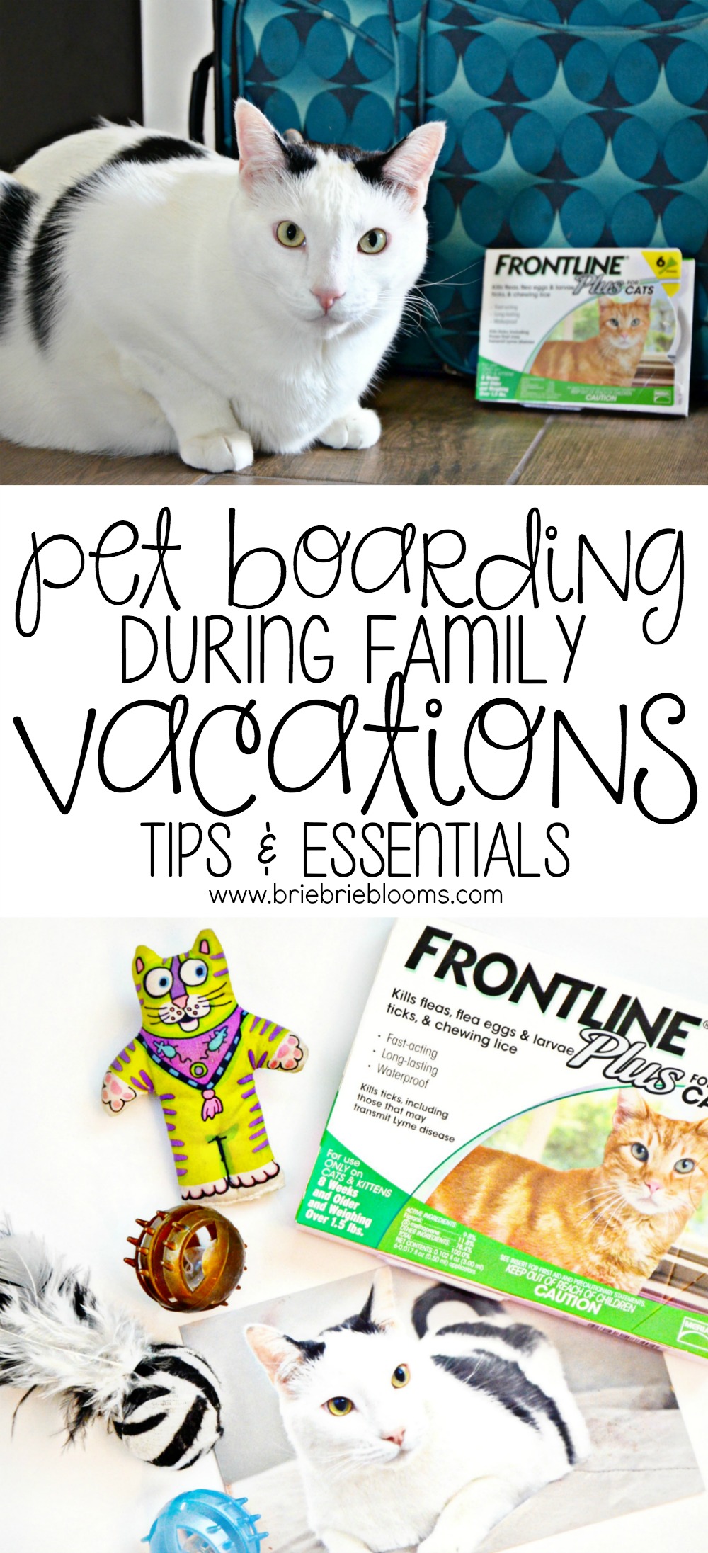 FRONTLINE® Plus for Cats Flea and Tick Treatment from Walmart is an essential to our family for boarding because we have multiple indoor cats that rarely are exposed to anything outside of our own home. Check out these tips and essentials for pet boarding during family vacations. 