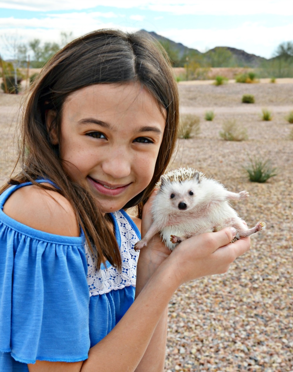 Find out if hedgehogs make good pets for kids!