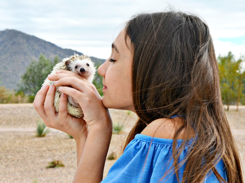 My daughter and her pet hedgehog share a special bond. See if hedgehogs make good pets for kids.