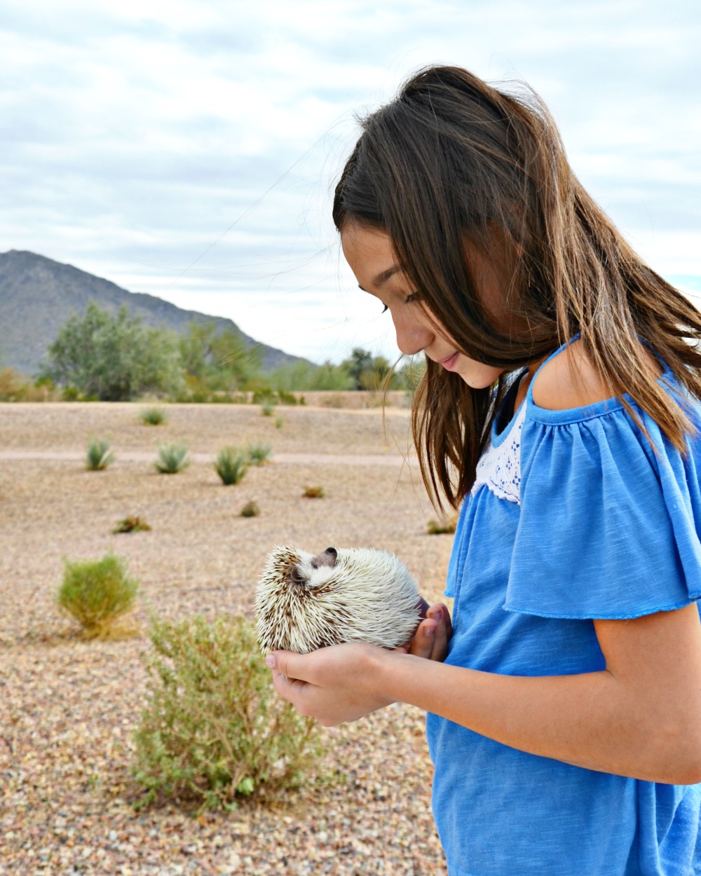 Our daughter has an incredible bond with her pet hedgehog and we think hedgehogs make good pets for kids.