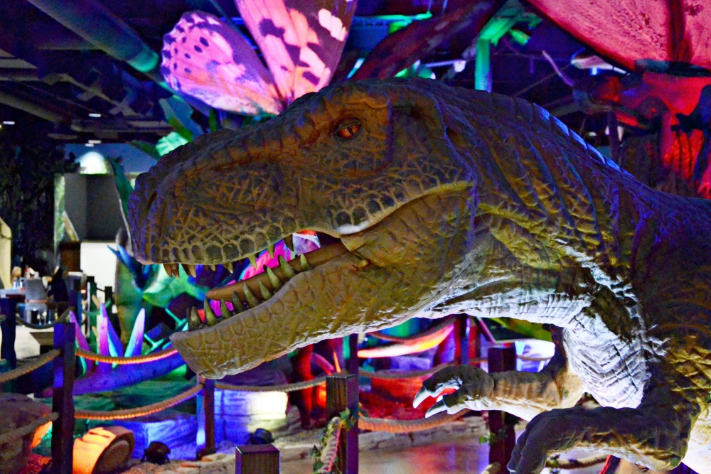 Host the ultimate dinosaur party at Pangaea Land of the Dinosaurs in Scottsdale, Arizona with over 50 life size animatronic dinosaurs.