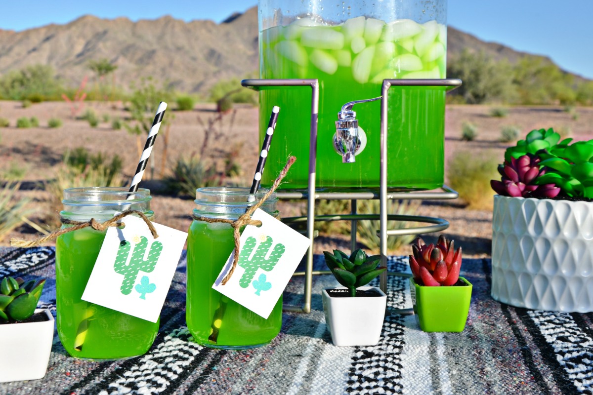 Make this fun green cactus punch to serve at your Dinner in the Desert Burger Bar Party.
