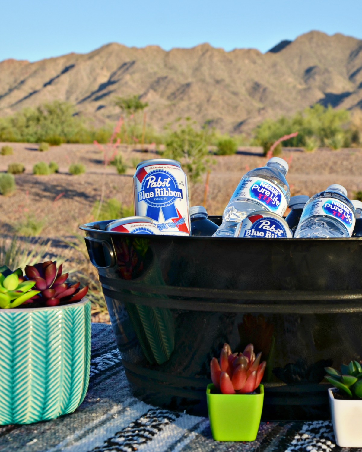 Serve Pabst Blue Ribbon® and Nestlé® Pure Life® Purified Water at your Dinner in the Desert Burger Bar Party.