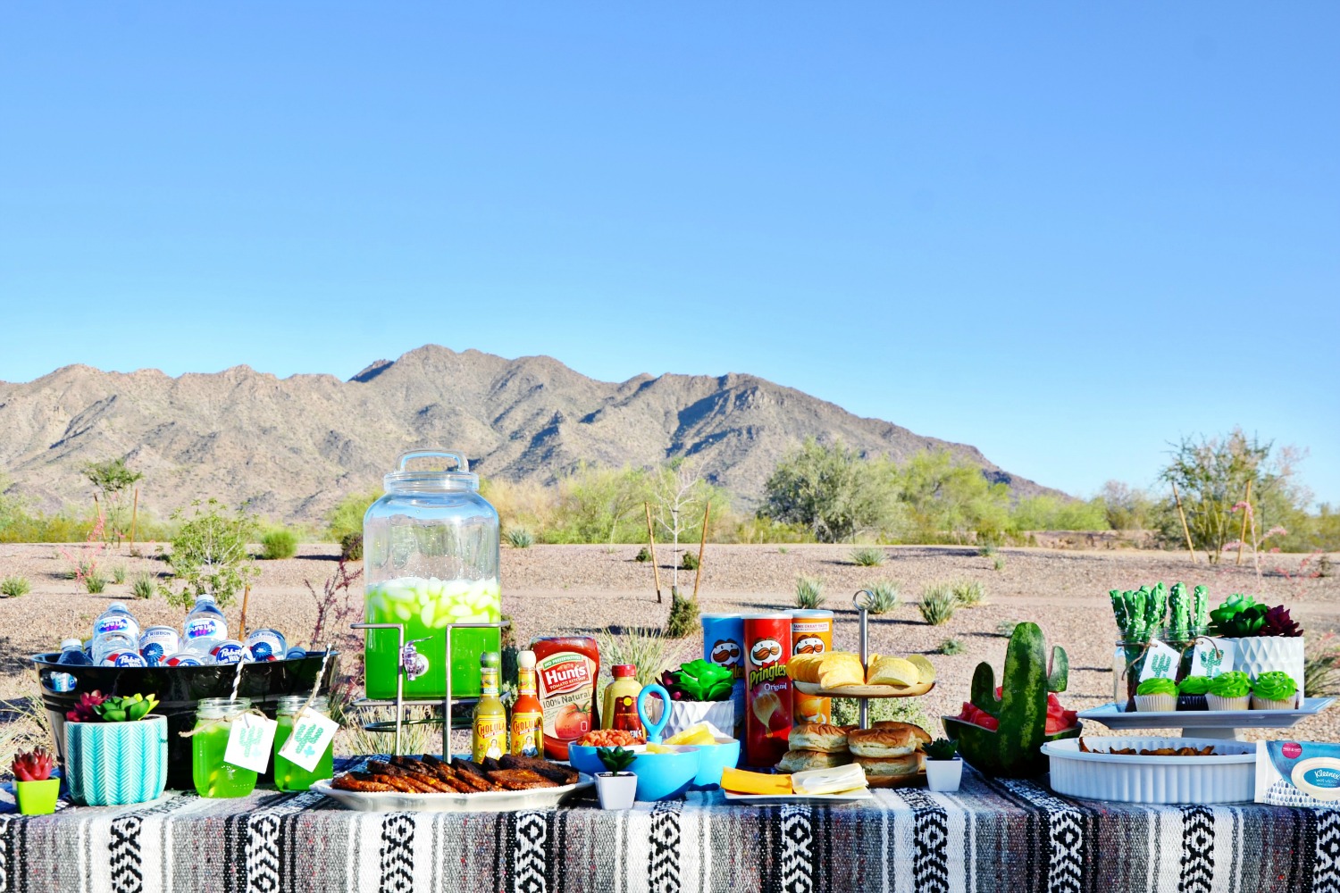 Set up an over the top meal spread at your Dinner in the Desert Burger Bar Party.