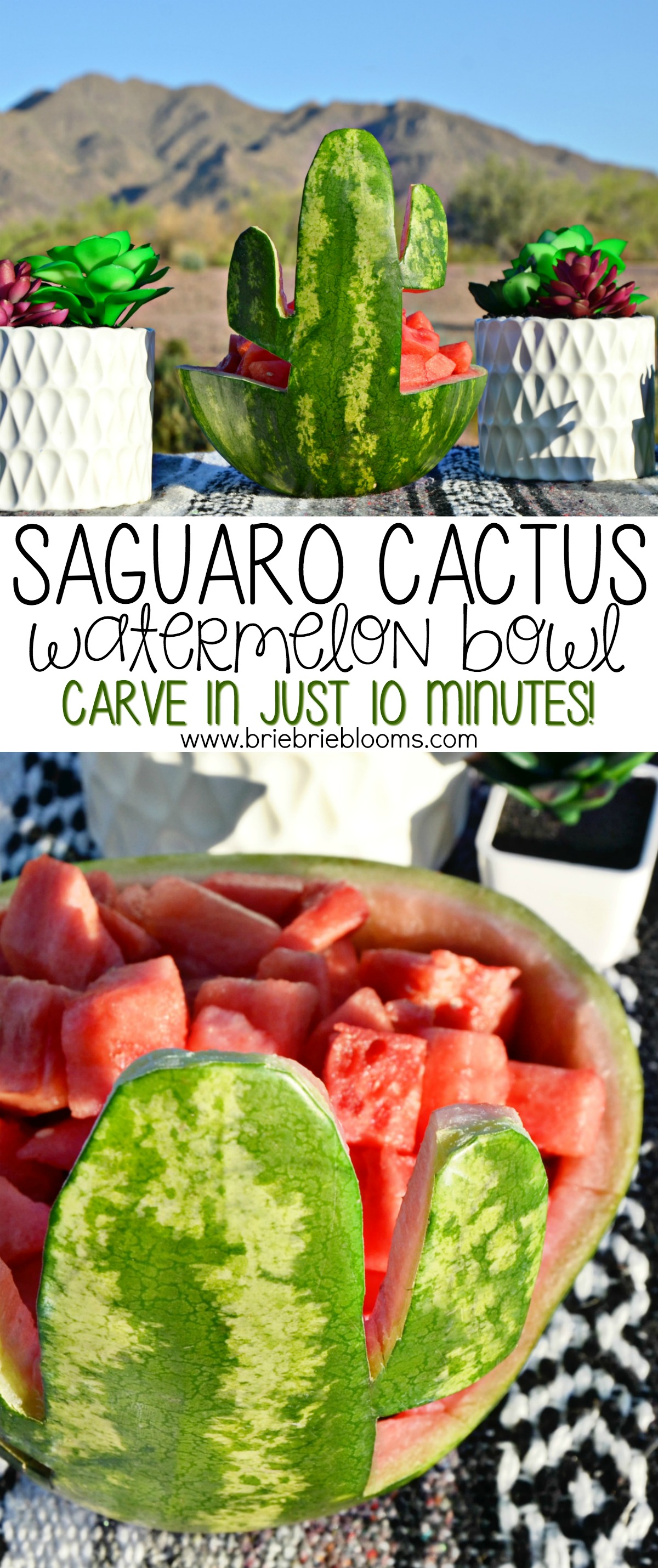 This simple saguaro cactus watermelon bowl can be carved in just 10 minutes!