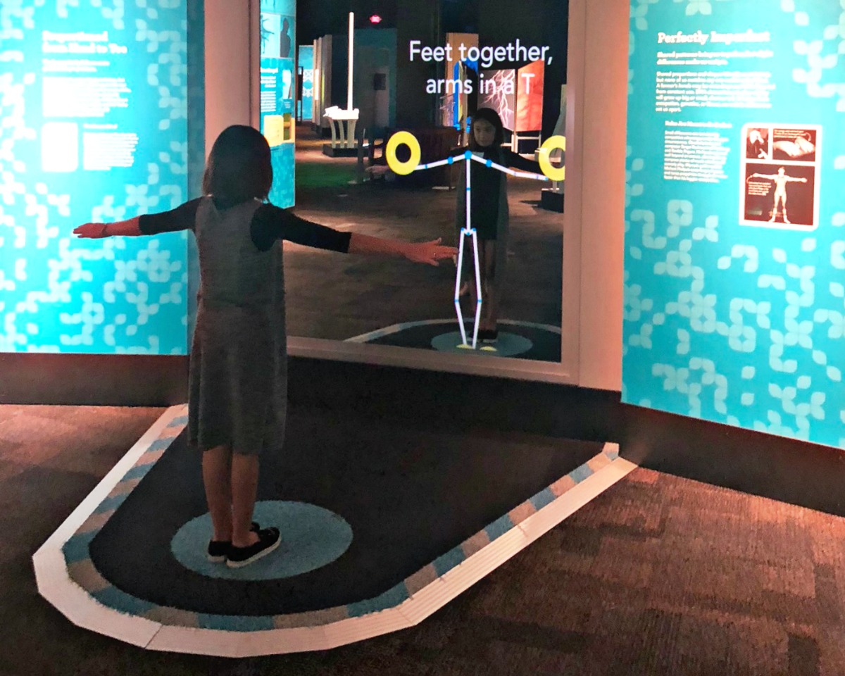 Learn about your arm span at the Arizona Science Center.