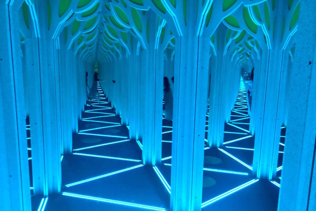 Arizona Science Center Mirror Maze Ticket Giveaway Brie Brie Blooms