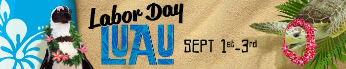 Have some holiday weekend fun at the Odysea Aquarium's Labor Day Luau. Enter to win the Odysea Aquarium ticket giveaway!
