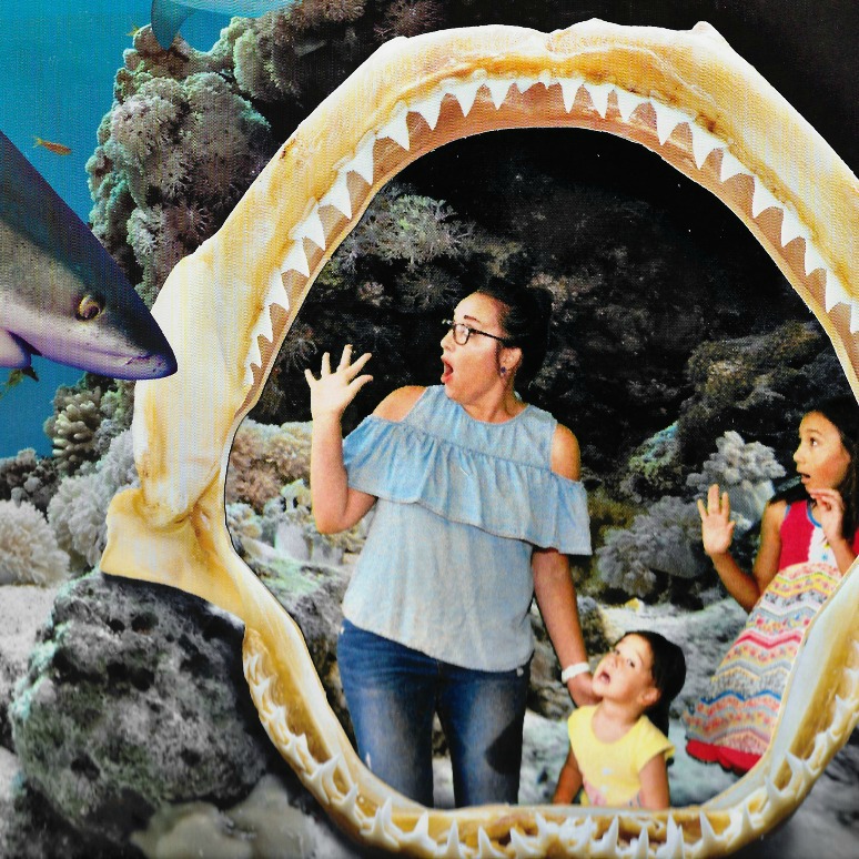 Enter to win the Odysea Aquarium ticket giveaway! Make sure you take a green screen photo as you enter for a fun family picture.