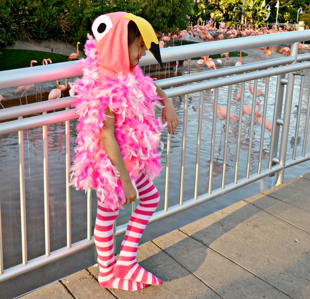 Make this easy DIY Flamingo costume with a hoodie and pink feather boa.