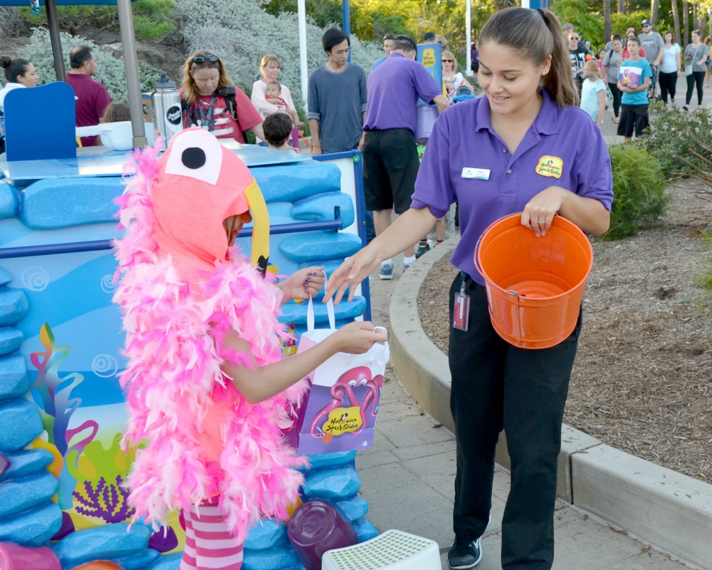 This easy DIY flamingo costume was so much fun to wear to the SeaWorld Halloween Spooktacular.