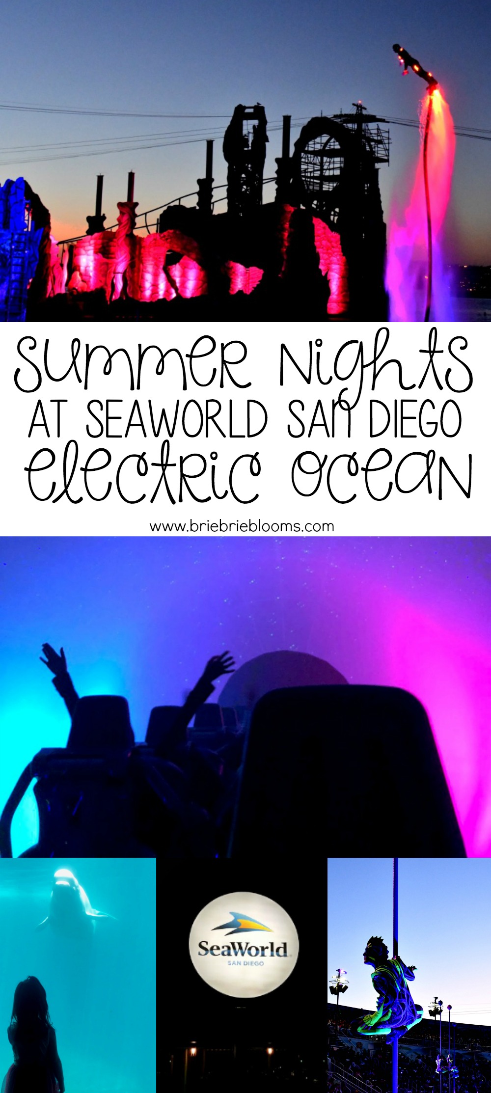 See our favorite things to do summer nights at SeaWorld San Diego during the Electric Ocean celebration.