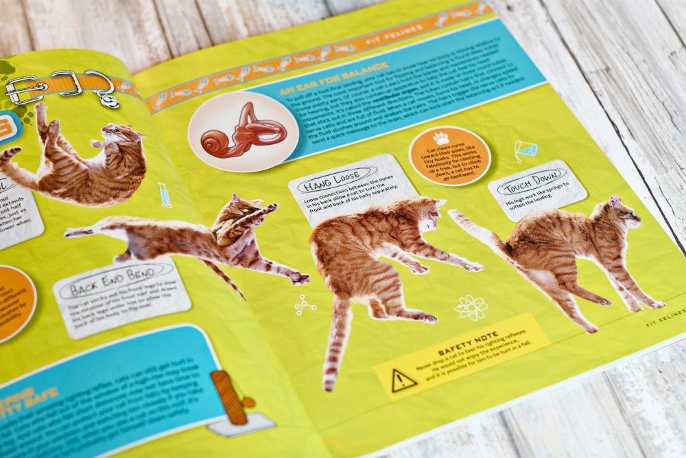 The Nat Geo Kids Cat Science Unleashed book is awesome!