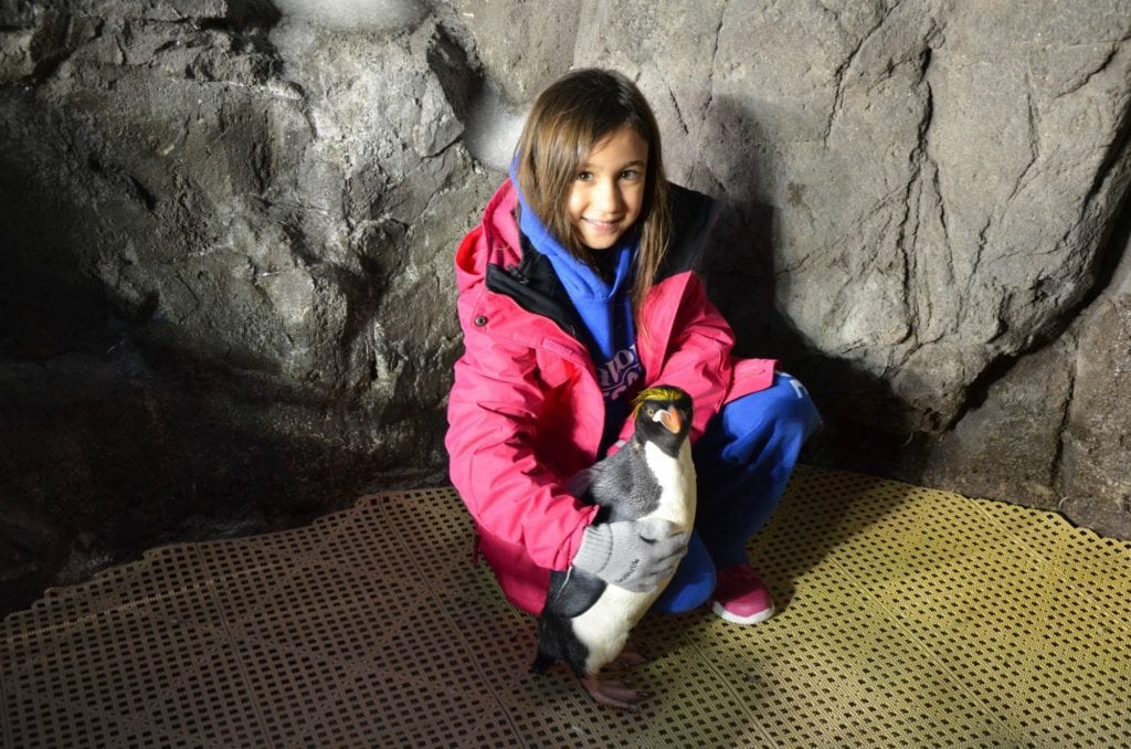 From a very young age, she has loved animals and uses her voice to make a positive impact for conservation.