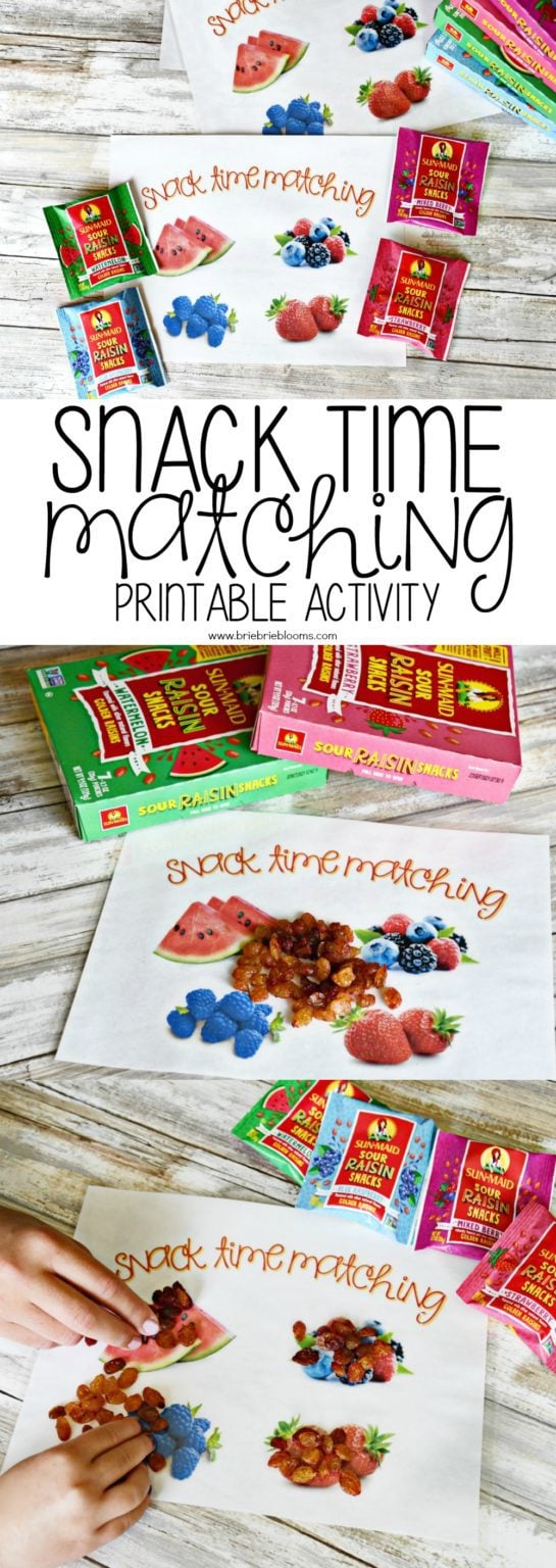 Snack Time Matching Activity - Brie Brie Blooms